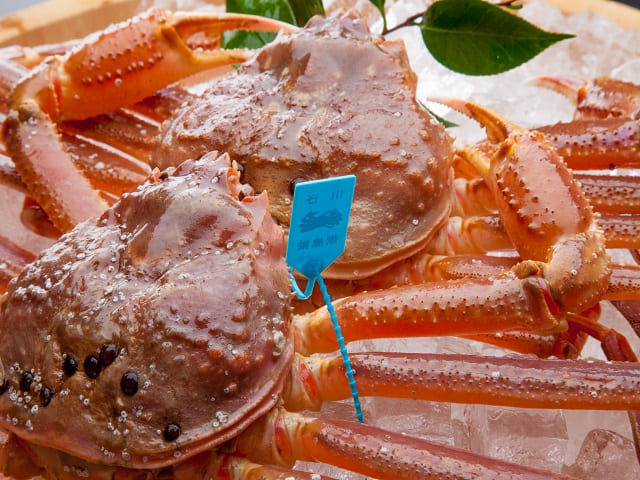 
Notice: Undefined variable: record in /home/kagakankoh/tokigasane.com/public_html/topics-detail.php on line 169
